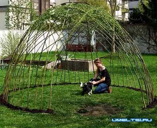 Live Gazebo van Willow: Voorbeelde van oorspronklike idees