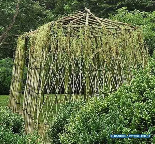 Live Gazebo van Willow: Voorbeelde van oorspronklike idees