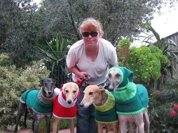 Abbandunati-greyhounds-Milied-sweaters-innittjati bil-imħabba-Jan-kannella-3