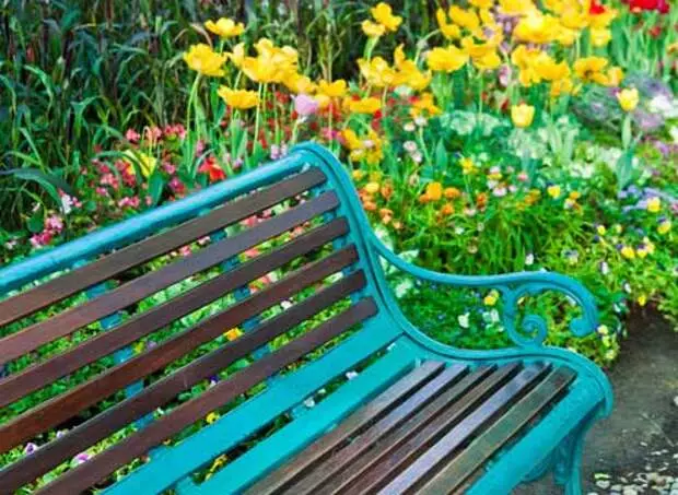 Benches in the garden: collection of ideas