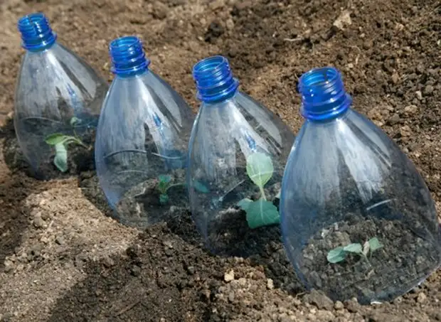 Greenhouse mula sa plastic bottles at iba pang mga ideya sa bansa mula sa plastic. Master Class + Video.