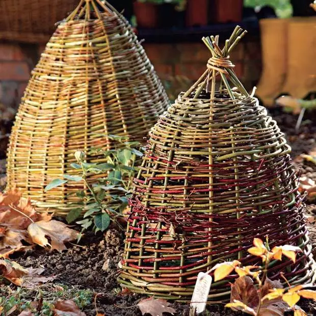 Cesta como abrigo de inverno para plantas. Classe mestre