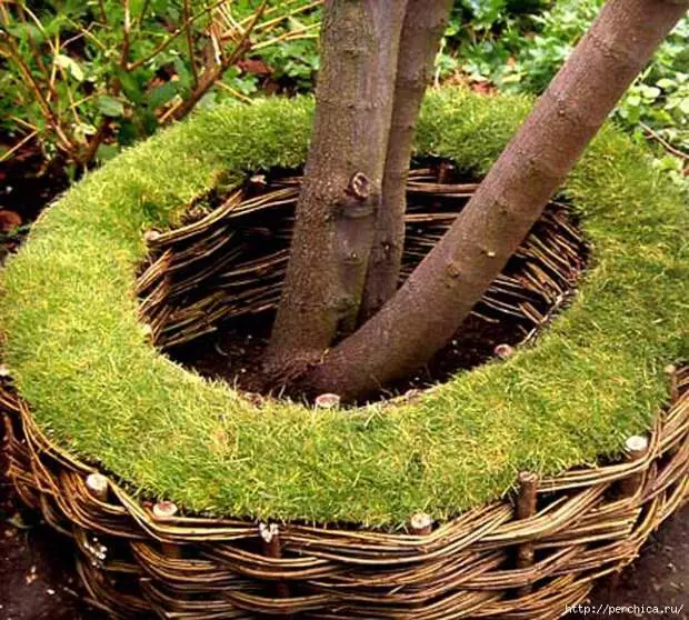 Rieten omheining-bloembed rond de boom doen het zelf