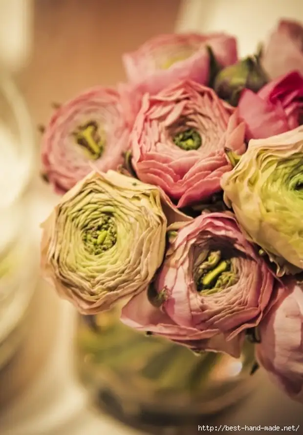 _1312312936-pink-ranunculus-bouquet（467x669,150kb）