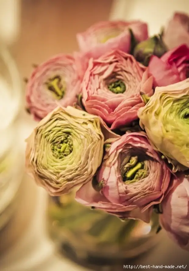 _1312312936-Pink-Ranunculus-Bouquet (467x669, 150kb)