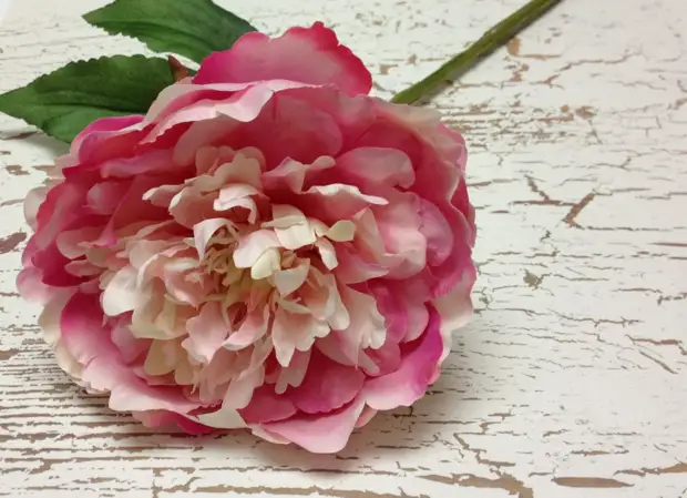 Floristry Fabric: Tip berguna dari Olesya Fedorova