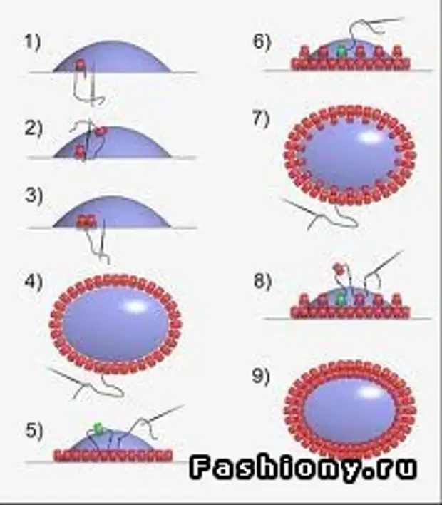 나의 취미는 내 휴식이야