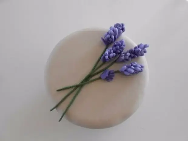 Lavender Lepim