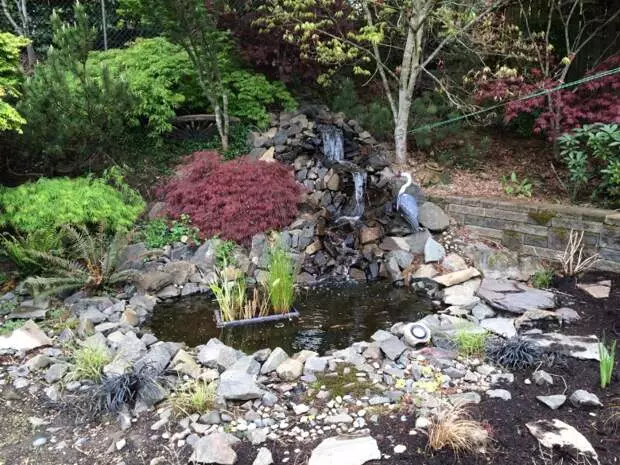 田舎の地域で自分の手を持つ水