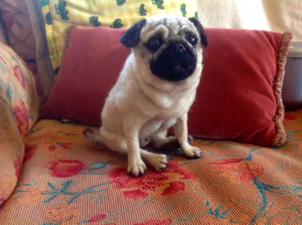 Pug o'r ffelt