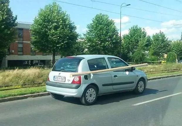 24 Zekice kendileri için konuşan şeyleri yeniler