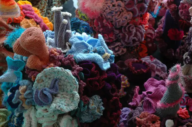 Crochet Coral Reef Project.