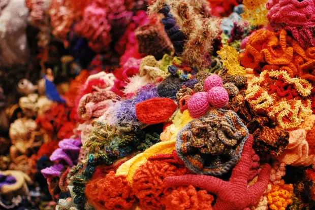 Proyecto de arrecife de coral de crochet