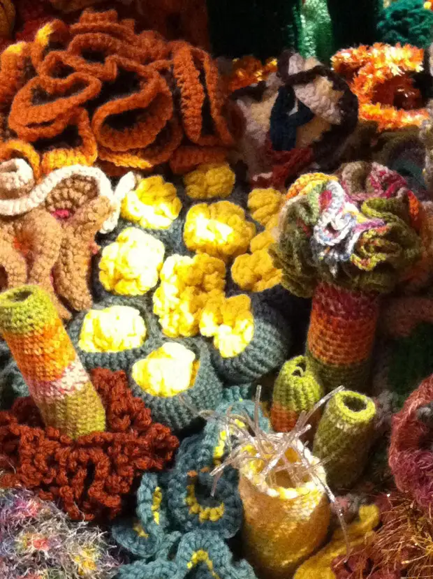 Crochet Coral Reef Project.