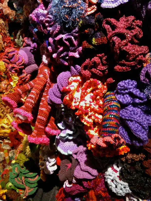 Projekt Crochet Coral greben