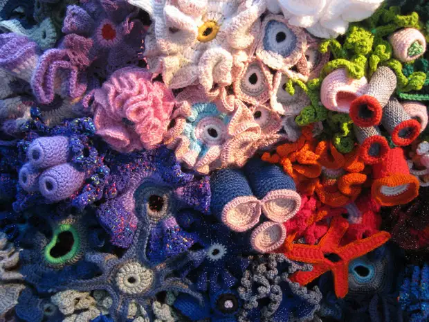 Crochet Coral Reef Project.