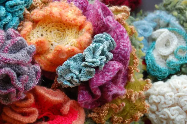 Crochet Coral Reef Project.