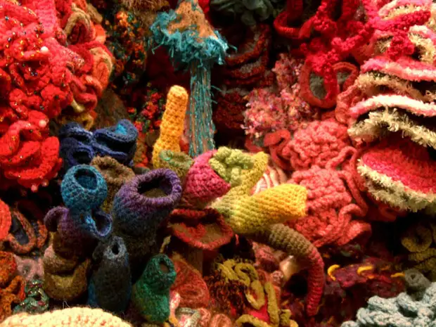 Crochet Coral Reef Project.