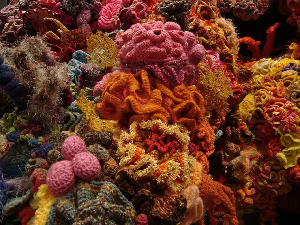 Crochet Coral Reef Project.