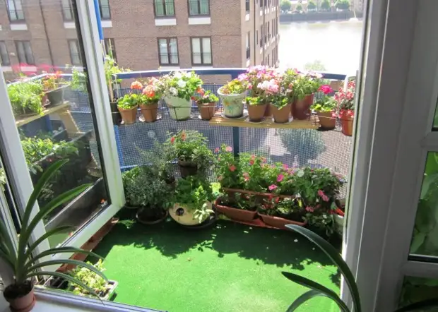 Balcony-Garden.