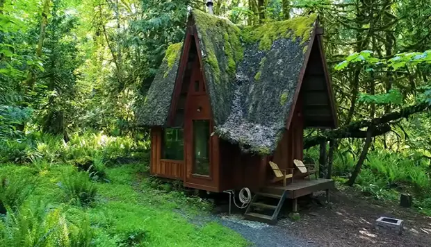 Amerikaanse kunstenaar beliggaam 'n kinderdroom en het 'n wonderlike huis in die bos gebou