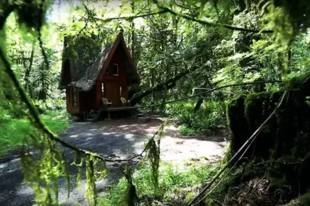 האמן האמריקאי חלום חלום ילדים ובנה בית נהדר ביער