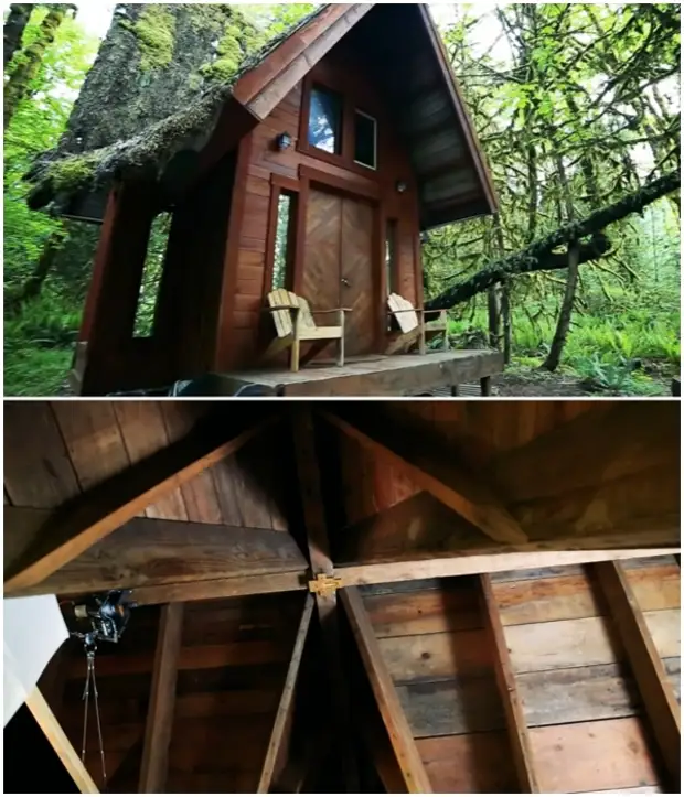 Artista americano incorporou um sonho de crianças e construiu uma casa fabulosa na floresta