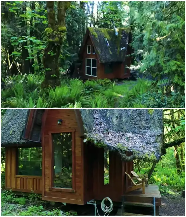 Amerikaanse kunstenaar beliggaam 'n kinderdroom en het 'n wonderlike huis in die bos gebou