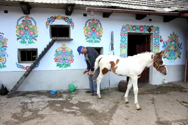 Gundê ecêb! Gundê herî xweş li cîhanê