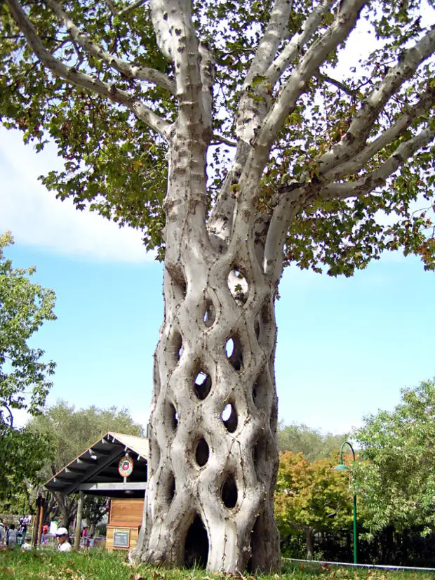 Isso é o que acontece quando uma pessoa cria com a natureza ... jardins únicos de todo o mundo