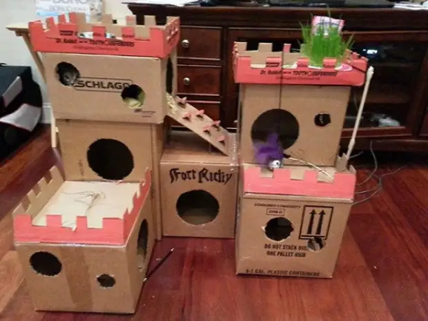 고양이 골판지 성 및 요새