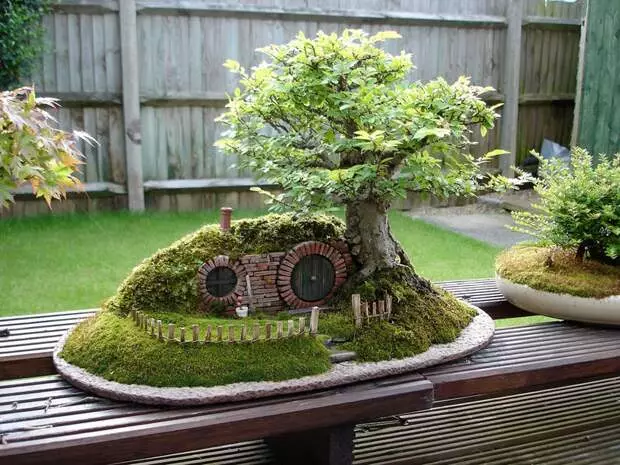 Bonsai kwa Hobbit.