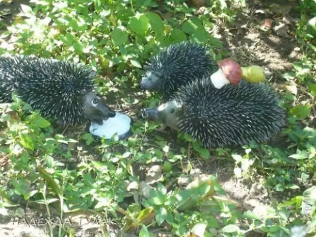 Hedgehog në vend, bëj vetë