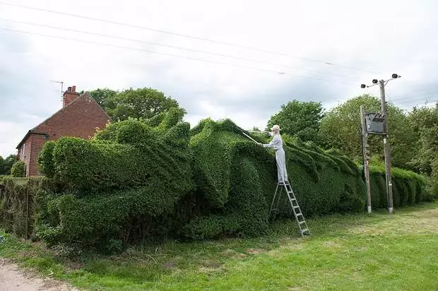 Čovjek je proveo 13 godina da okrene obični grm u ogromnom zmaju