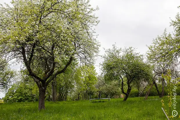 Brīvdienu māja