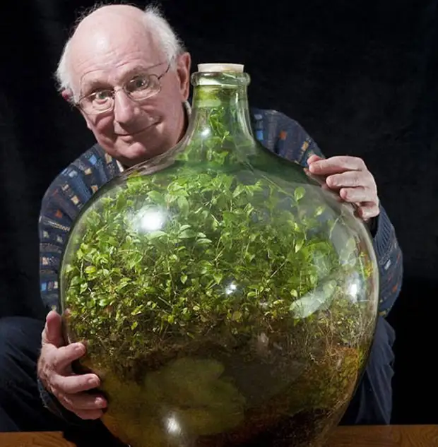 Este home pon as sementes nunha botella hai máis de 50 anos ... e iso é o que pasou.