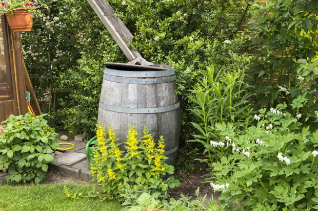 Färben oder Hide: Löse das Schicksal von Wasserfässern