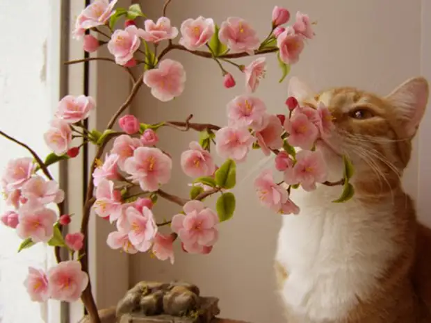 Sakura blomme van koue porselein