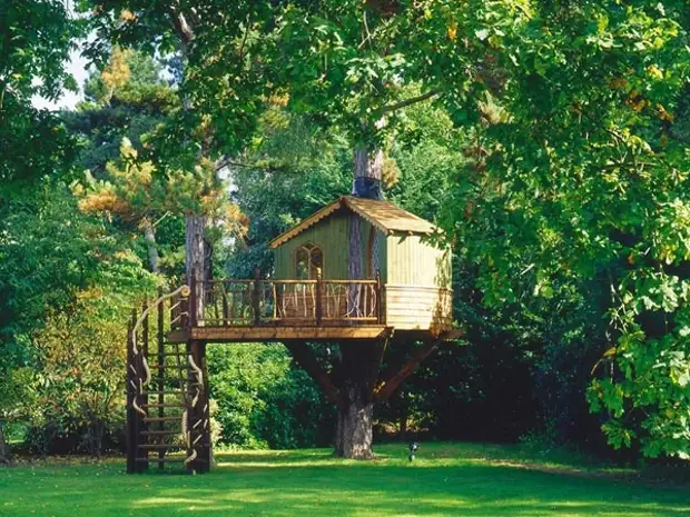 Una casa su un albero