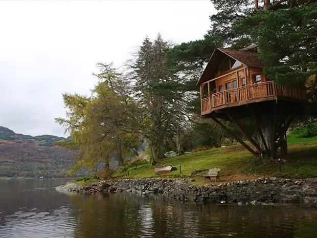 Una casa en un arbol