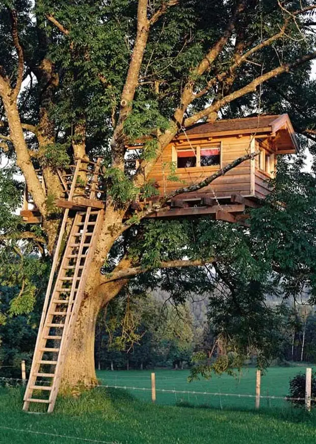 Ein Haus auf einem Baum