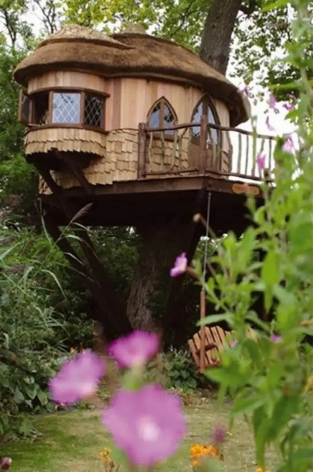 Una casa en un arbre