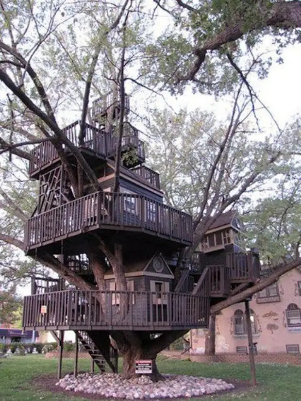 Una casa en un arbre