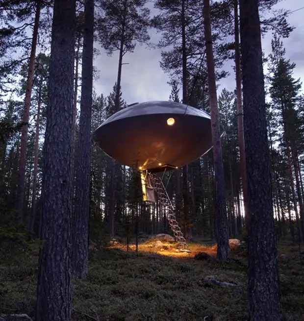 Una casa en un arbol