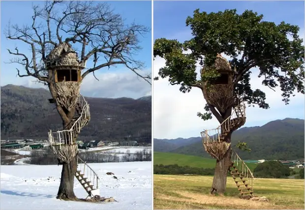 Una casa su un albero