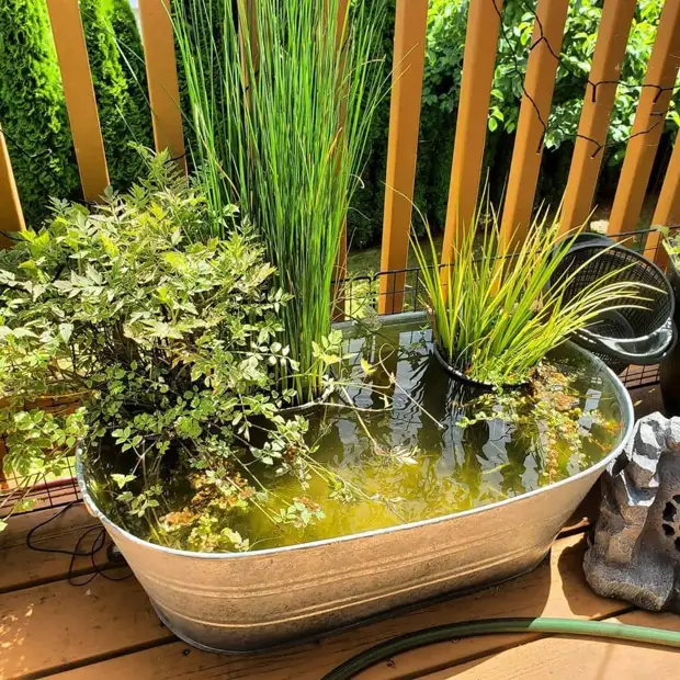 23 Čudovite ideje mini-ribnika za lep vrt