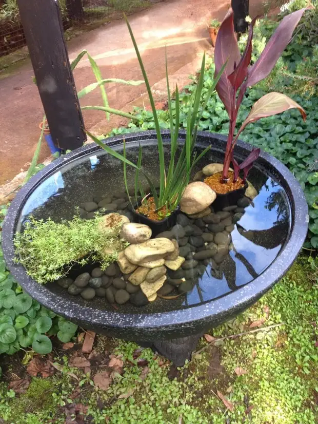 아름다운 정원을위한 미니 연못의 23 개의 멋진 아이디어