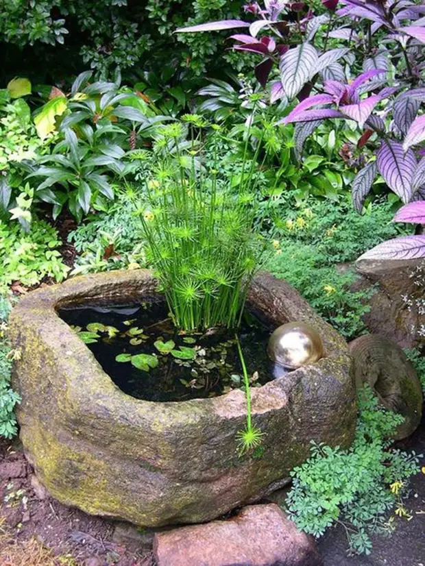 23 meravigliose idee di un mini-Pond per un bellissimo giardino