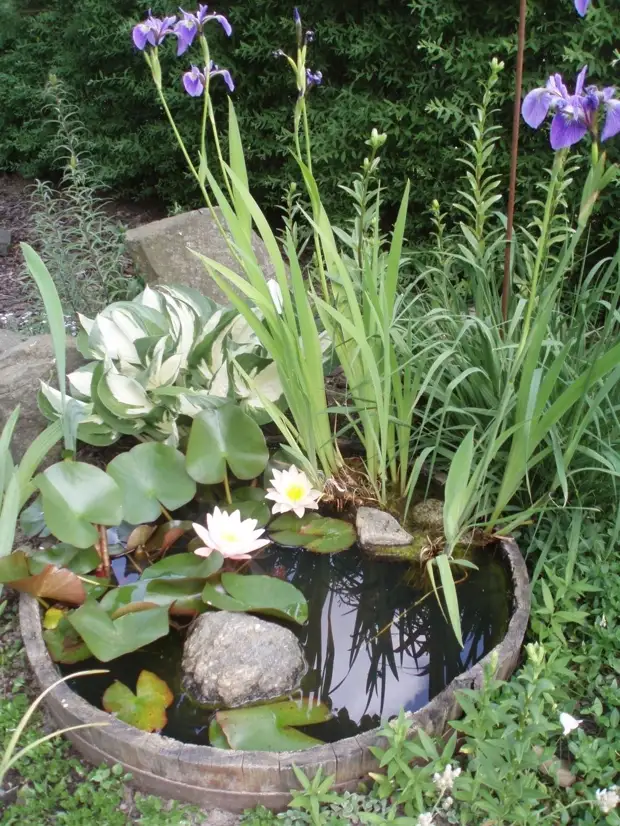아름다운 정원을위한 미니 연못의 23 개의 멋진 아이디어