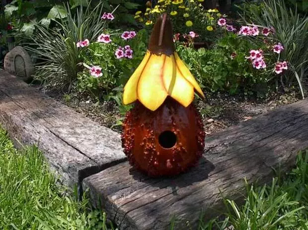 Teach Bird Pumpkin